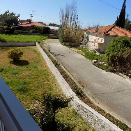 Jerry's Lassi Daire *